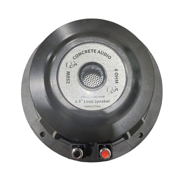 6.5″ Loudspeaker – 250 W, Neodymium Midrange Driver
