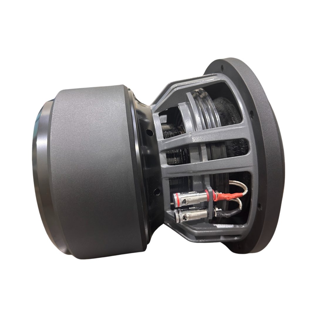 10″ Subwoofer (C5 Series, Dual 2 Ohm)